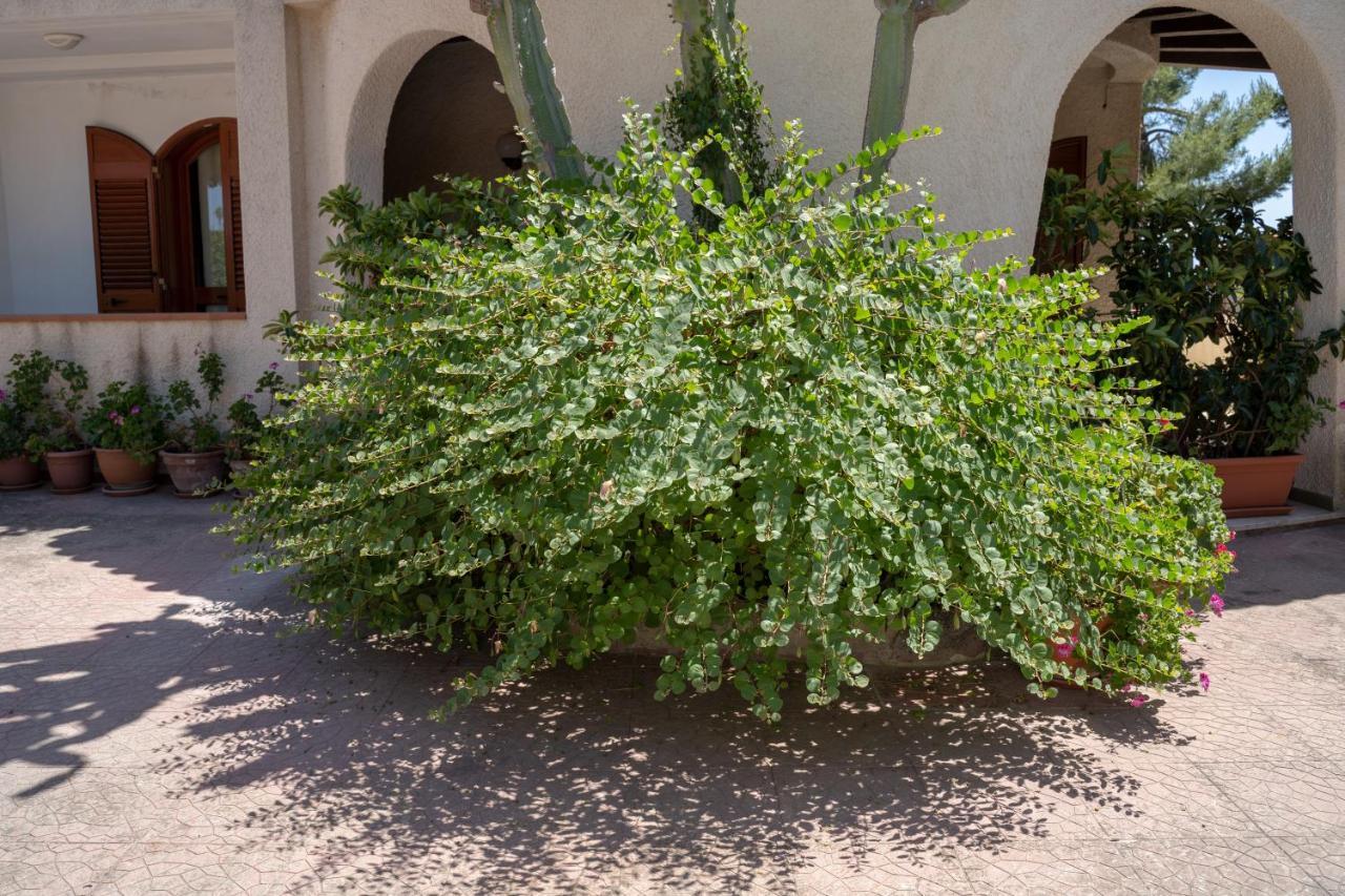 לינה וארוחת בוקר סירקוזה Terrazza Sul Plemmirio מראה חיצוני תמונה